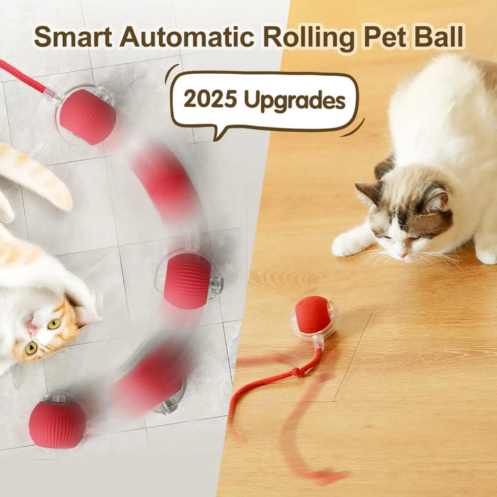 MagicMouse™ - Self-Rolling Interactive Cat Toy