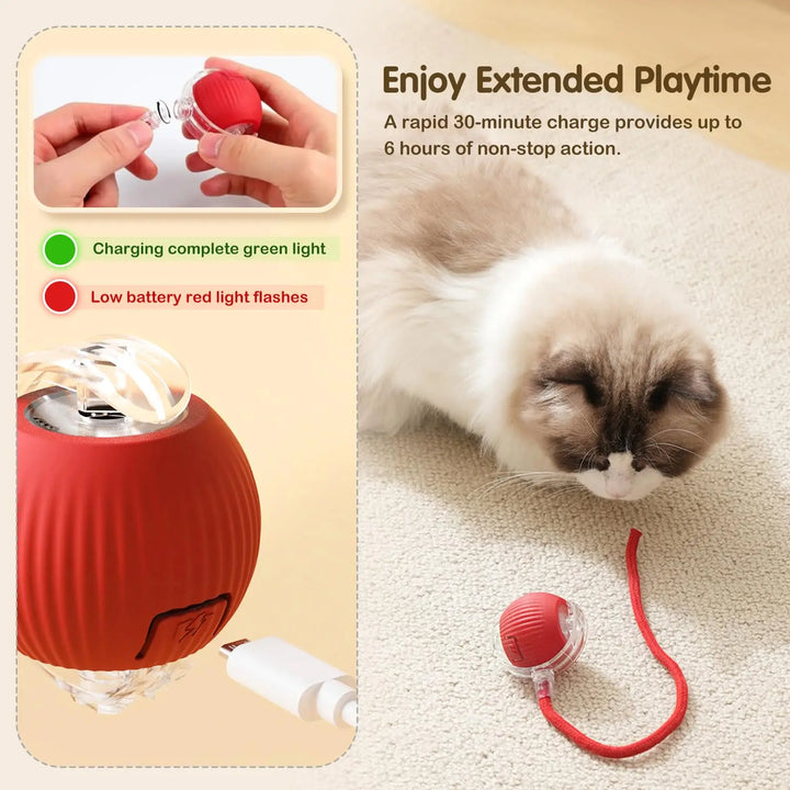 MagicMouse™ - Self-Rolling Interactive Cat Toy